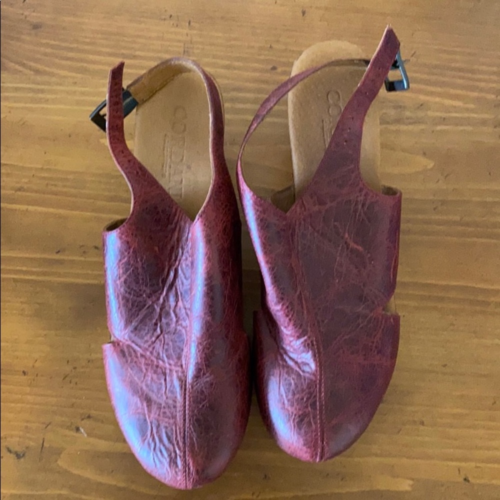 Cordani clogs